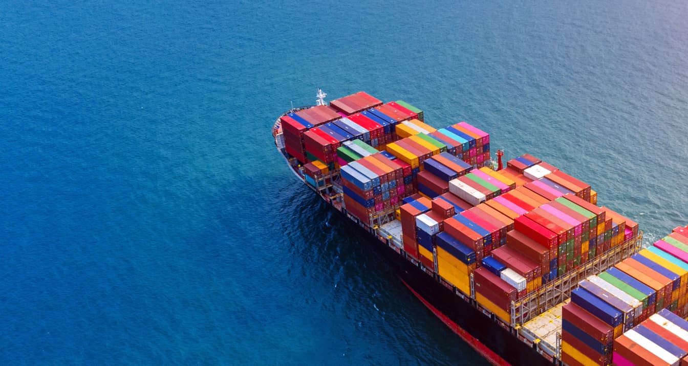 Our Export Process